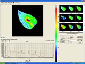 FluorCam封闭式GFP/Chl.荧光成像系统