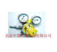 氨气减压器 型号：BF/YQA-441